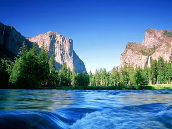 PAYSAGE FEE