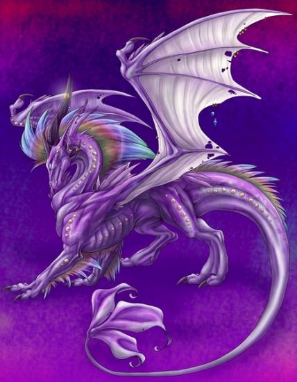 dragon  ange fairie