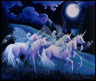LICORNE  FEE