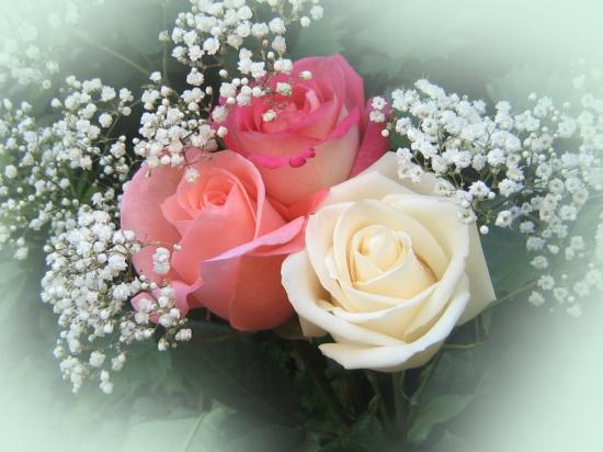 FLEURS CELESTE