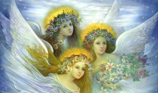 LOTUS  FLEURS ET ANGES