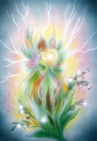 FEE  ANGE BOUDHA