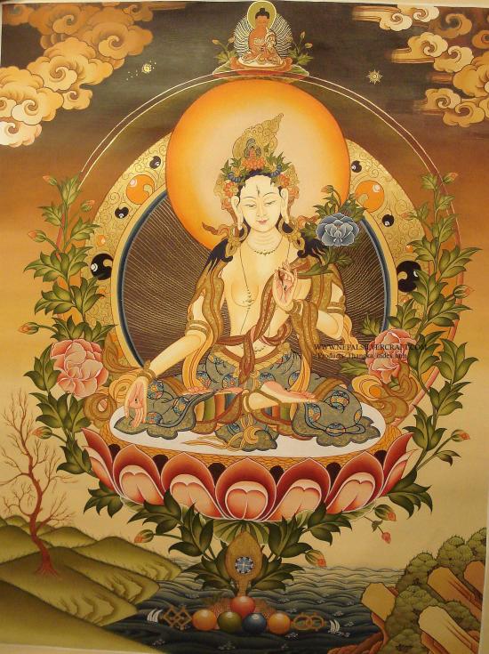boudha et fee
