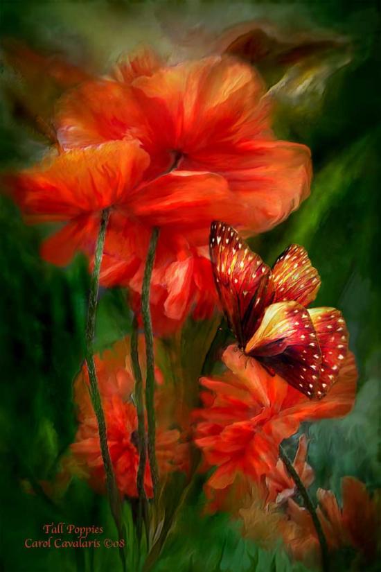FLEURS CELESTE