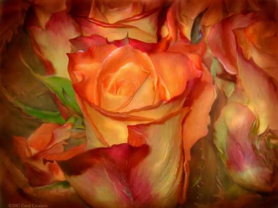 FAIRIE ET FLEUR ANGE