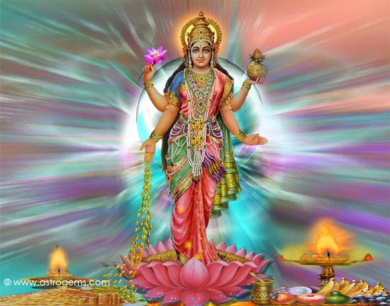 inde boudha fleur