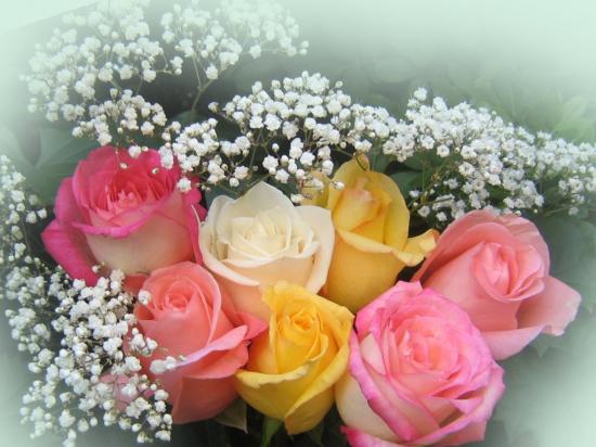  CELESTE ANGE FLEURS