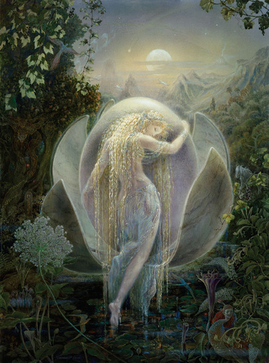 FAIRIE ET FLEUR ANGE