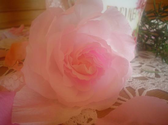 FAIRIE ET FLEUR ANGE