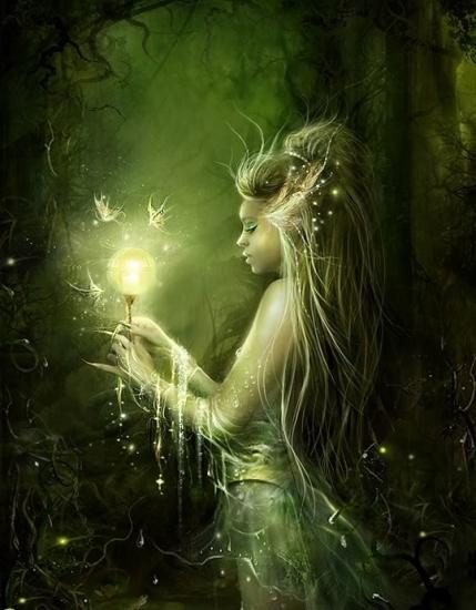 dragon  ange fairie