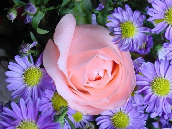 FLEUR ANGE BOUDHA