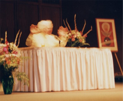 Bc sf2002